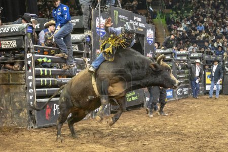 Photo for 2024 Professional Bull Riders At The Garden. January 6, 2024, New York, New York, USA: Paulo Eduardo Rossetto rides Buffalo Chip during second round of the Professional Bull Riders 2024 Unleash The Beast event at Madison Square Garden - Royalty Free Image