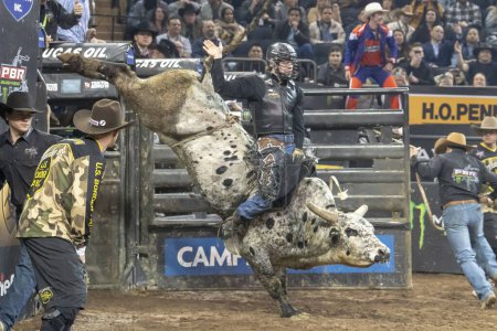 Photo for 2024 Professional Bull Riders At The Garden. January 6, 2024, New York, New York, USA: Conner Halverson rides Wilson during second round of the Professional Bull Riders 2024 Unleash The Beast event at Madison Square Garden on January 6, 2024 - Royalty Free Image