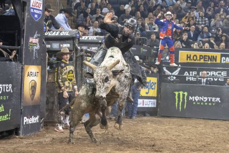 Photo for 2024 Professional Bull Riders At The Garden. January 6, 2024, New York, New York, USA: Conner Halverson rides Wilson during second round of the Professional Bull Riders 2024 Unleash The Beast event at Madison Square Garden on January 6, 2024 - Royalty Free Image