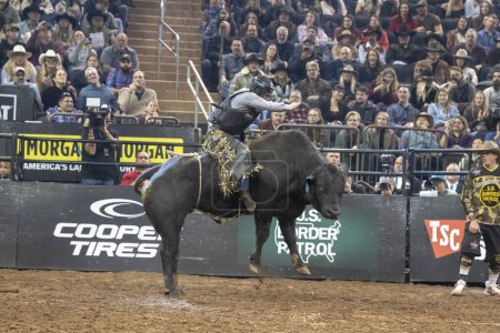 Photo for 2024 Professional Bull Riders At The Garden. January 6, 2024, New York, New York, USA: Vitor Losnake rides The Maverick during second round of the Professional Bull Riders 2024 Unleash The Beast event at Madison Square Garden on January 6, 2024 - Royalty Free Image