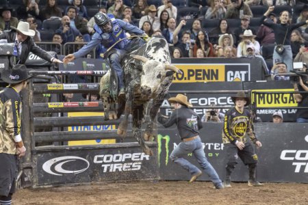 Photo for 2024 Professional Bull Riders At The Garden. January 6, 2024, New York, New York, USA: Ednelio Almeida rides Bad Spider during second round of the Professional Bull Riders 2024 Unleash The Beast event at Madison Square Garden on January 6, 2024 - Royalty Free Image