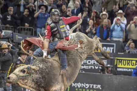 Photo for 2024 Professional Bull Riders At The Garden. January 6, 2024, New York, New York, USA: Silvano Alves rides Tulsa Times during second round of the Professional Bull Riders 2024 Unleash The Beast event at Madison Square Garden on January 6, 2024 - Royalty Free Image