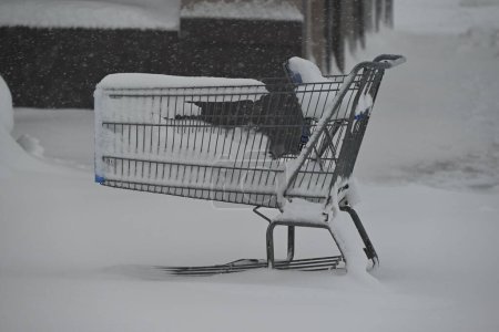 Blizzard afecta al estado de Iowa en Cedar Rapids, Iowa. 12 de enero de 2024, Cedar Rapids, Iowa, Estados Unidos: Las advertencias de Blizzard se vieron afectadas en Cedar Rapids, Iowa, el viernes, ya que las condiciones traicioneras impactaron las carreteras de toda la zona