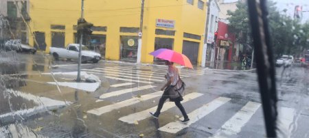 Téléchargez les photos : SAO PAULO (SP), Brésil 02 / 02 / 2024 - Les fortes pluies qui sont tombées ce vendredi après-midi, dans la ville de Sao Paulo, ont causé des inondations dans différentes régions de la ville, la tempête a également causé la chute d'arbres. - en image libre de droit
