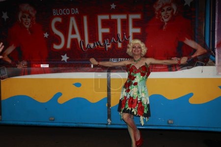Téléchargez les photos : SAO PAULO (SP), Brésil 4 / 02 / 2024 - Avec la muse Salete Campari à la tête de l'action, le public LGBT incendiera les rues de Sao dans le bloc Salete Campari. Avec une carrière de 32 ans, se démarquant en tant qu'artiste drag, activiste, actrice - en image libre de droit