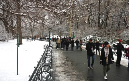 Téléchargez les photos : Chute de neige à Central Park à New York. 17 février 2024, New York, USA : New York a été frappé par une autre neige du vendredi (16) au samedi (17) et surtout à Central Park où les New-Yorkais, les touristes et les enfants sont vus jouer - en image libre de droit