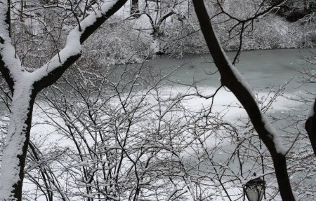 Foto de Caída de nieve en Central Park en Nueva York. 17 de febrero de 2024, Nueva York, Estados Unidos: Nueva York fue golpeada con otra nieve desde el viernes (16) por la noche hasta el sábado (17) y especialmente en Central Park, donde se ve a los neoyorquinos, turistas y niños jugando - Imagen libre de derechos