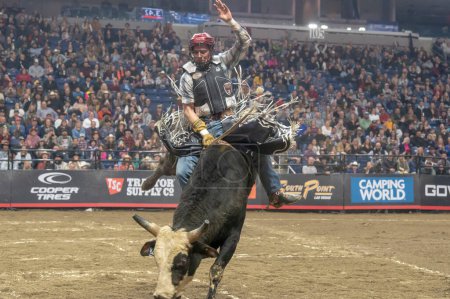 Photo for 2024 Professional Bull Riders Pendleton Whisky Velocity Tour in Bridgeport, Connecticut. March 2, 2024, New York, New York, USA: Bull Riders compete during the Professional Bull Riders (PBR) - Royalty Free Image
