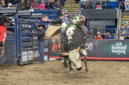 Photo for 2024 Professional Bull Riders Pendleton Whisky Velocity Tour in Bridgeport, Connecticut. March 2, 2024, New York, New York, USA: Bull Riders compete during the Professional Bull Riders (PBR) - Royalty Free Image