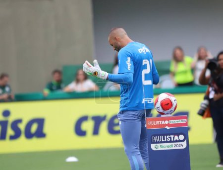 Photo for Barueri (SP), Brazil 03/09/2024: Goalkeeper Weverton, during a match between Palmeiras and Botafogo, valid for the 12th round of the 2024 Paulista Football Championship, held at Arena Barueri, in Barueri-SP, in this Saturda - Royalty Free Image