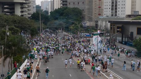 Téléchargez les photos : Sao Paulo (SP), Brésil 04 / 7 / 2024 - Mouvement avant le match entre Palmeiras et Santos, valable pour la deuxième étape de la finale du Championnat de football Paulista 2024, tenue à Allianz Parque, à Sao Paulo - en image libre de droit