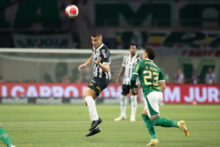 Photo for Sao Paulo (SP), Brazil 04/7/2024 - Match between Palmeiras and Santos, valid for the second leg of the final of the 2024 Paulista Football Championship, held at Allianz Parque, in Sao Paulo, on the night of this Sunday - Royalty Free Image
