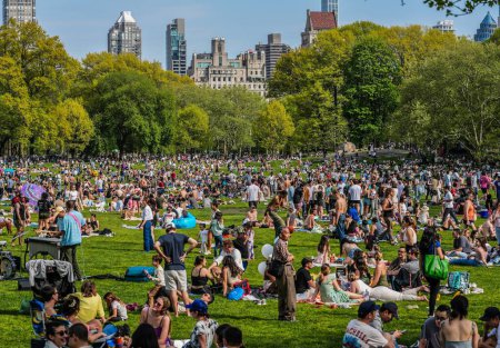 Photo for "Sunny Revival: New Yorkers Embrace Warmth on Central Park's Great Lawn". April 28, 2024, New York , USA: New York City, it's a sunny and warm day with temperatures ranging from 73 to 75F. - Royalty Free Image