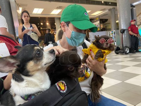 Téléchargez les photos : SAO PAULO (SP), 28 / 04 / 2024- Des gardiens de chiens et des ONG de protection des animaux ont organisé une manifestation à l'aéroport de Guarulhos, dimanche (28), pour défendre la réglementation du transport aérien des chiens de grande taille. - en image libre de droit
