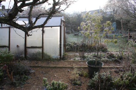 Glass greenhouse in beautiful garden landscape in Winter white icy frost layer with gravel planted bed with plant pots, grass lawn and espalier pear tree with bare branches in freezing day weather