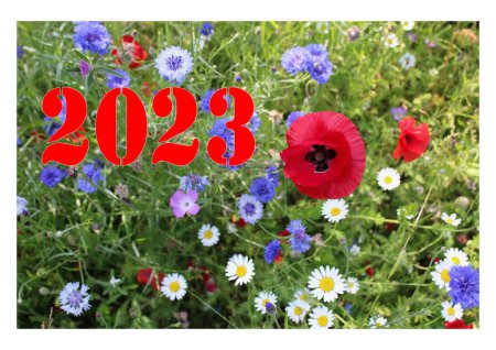 Téléchargez les photos : Gros plan de 2023 chiffres illustration en rouge sur fond de prairie de fleurs sauvages printemps avec bleuet, pavot, marguerite et autres fleurs vertes dans la verdure Nouvel An - en image libre de droit