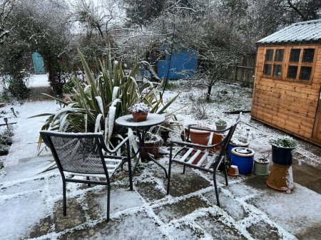 Paisaje nevado de jardín de invierno con capa de nieve sobre patio de piedra, césped de hierba, con muebles de jardín, árbol espalier, cobertizo de madera y plantas y caminos en ambiente helado congelado