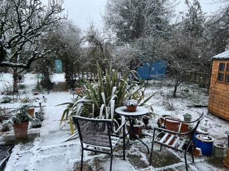 Snowfall landscape of Winter garden with layer of snow over stone patio, grass lawns,  with garden furniture, espalier tree, wood shed and plants and paths in frozen icy environment