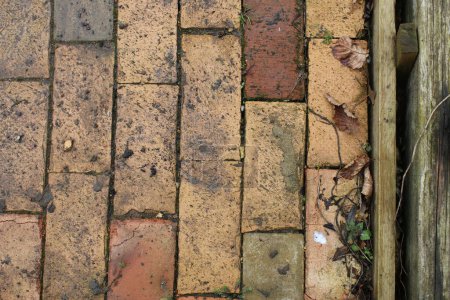 Téléchargez les photos : Gros plan du trottoir en briques rouges jaunes grises vue en plan du sentier de jardin en vieilles briques victoriennes et 1930 recyclés avec texture de mousse à la surface et des mauvaises herbes qui poussent des fissures dans le mortier de sable - en image libre de droit