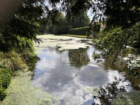 Téléchargez les photos : Beau paysage de Norfolk Large lac d'eau avec une verdure époustouflante entoure d'arbres buissons plantes et algues et reflets encore Été scène tranquille avec ciel bleu lumière du jour - en image libre de droit