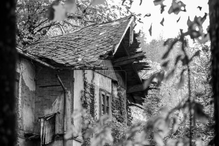 Eine alte Hausruine mit einem heruntergekommenen Dach, gesehen zwischen Bäumen, Bled in Slowenien