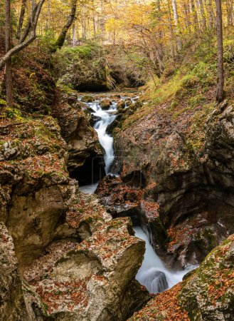 Téléchargez les photos : Un ruisseau qui traverse la magnifique gorge de Mostnica dans le parc national du Triglav, situé dans les Alpes juliennes en Slovénie - en image libre de droit