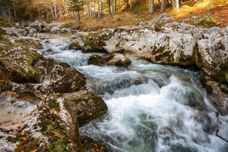 Téléchargez les photos : Un ruisseau qui traverse la magnifique gorge de Mostnica dans le parc national du Triglav, situé dans les Alpes juliennes en Slovénie - en image libre de droit