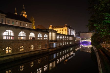 Photo for Iconic building of the central market in Ljubljana illuminated at night, the bridge of Preseren sqare in the background, Slovenia - Royalty Free Image