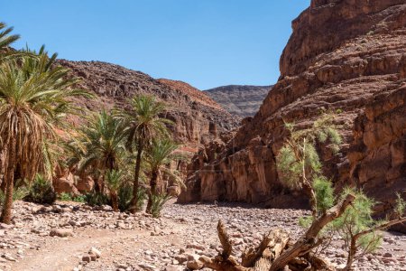 Téléchargez les photos : Randonnée à travers le magnifique paysage de la vallée du Draa près du village de Tizgui, Maroc - en image libre de droit