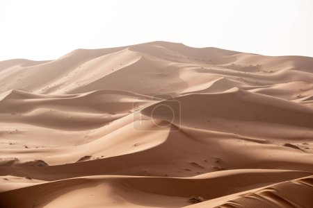 Picturesque dunes in the Erg Chebbi desert, part of the African Sahara, Morocco