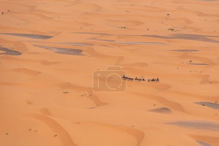 Photo for A camel caravan crossing the desert of Erg Chebbi, Morocco - Royalty Free Image
