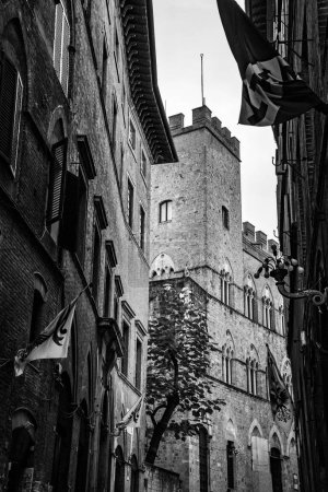Téléchargez les photos : Le Palazzo Chigi-Saracini dans la via di Citta dans le centre historique de Sienne, Italie - en image libre de droit
