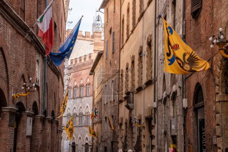 Photo for Contrade flags of the Aquila-Eagle district hanging in a street of downtown Siena, Italy - Royalty Free Image