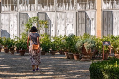 Téléchargez les photos : Arrière d'une jeune femme marchant vers une orangerie dans le Giardino di Boboli à Florence, Italie - en image libre de droit