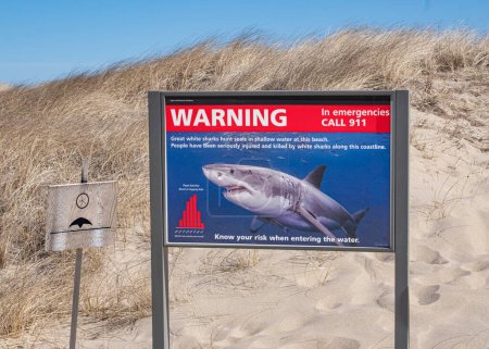 Shark warning sign in front of large sand dune with beach grass