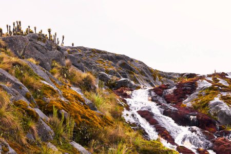 Water Source on Nevado del Ruiz. Pristine Landscape of the Western Slopes