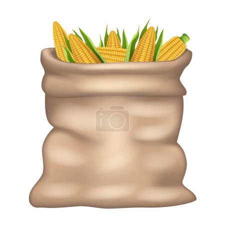 Burlap bag with carrots. Vector 3D clipart isolated on white background.