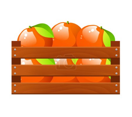 Téléchargez les illustrations : Oranges dans une boîte en bois. Illustration vectorielle isolée sur fond blanc. - en licence libre de droit