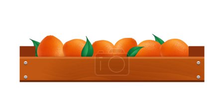 Téléchargez les illustrations : Oranges dans une boîte en bois. Illustration vectorielle isolée sur fond blanc. - en licence libre de droit