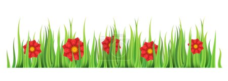 Illustration for Border or frame of flowers. Vector illustration isolated on white background. - Royalty Free Image