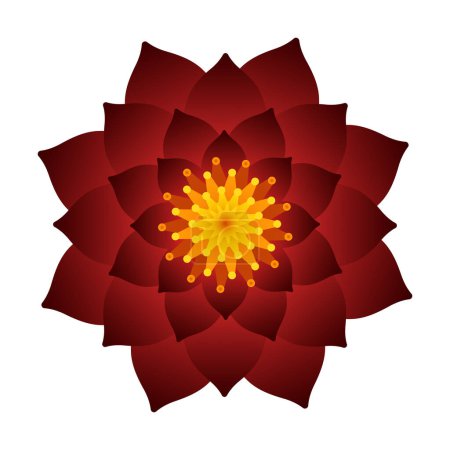 Illustration for Burgundy flower. Vector 3D illustration isolated on white background. - Royalty Free Image