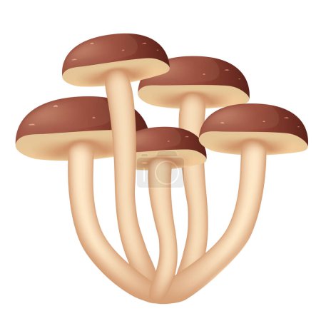 Honey mushrooms. Vector 3D illustration isolated on white background.