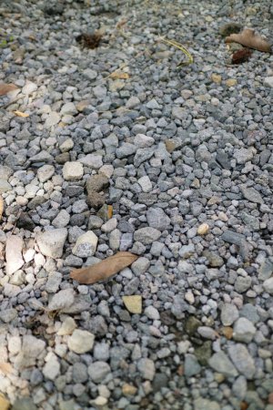 Téléchargez les photos : Une photo de centaines de petits cailloux aux couleurs vives dans un jardin - en image libre de droit