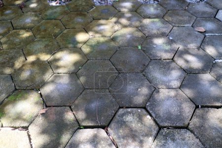 Téléchargez les photos : Une photo de pavage extérieur en béton en forme d'hexagone, rempli de mousse, avec un peu de gravier à côté - en image libre de droit