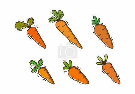 Illustration Zeichnung von Orangen-Karotten-Gemüse