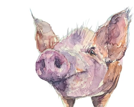Illustrazione per Disegno ad acquerello di un maiale e traccia a vettore - Immagini Royalty Free