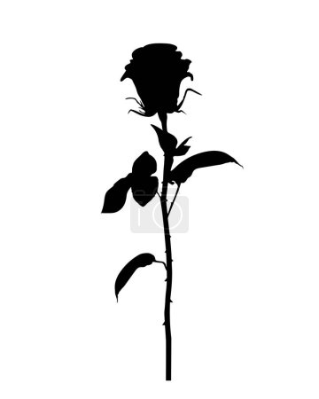 Téléchargez les illustrations : Fleur rose, vecteur plat noir, limes coupées - en licence libre de droit