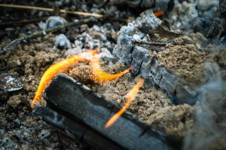 Photo for A fire burns in a campfire with a red fire in the background. High quality photo - Royalty Free Image