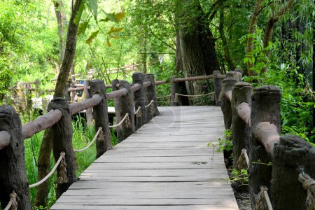 Krzywy drewniany most głęboko w lesie. stary most dla pieszych pokryty zielenią. Wysokiej jakości zdjęcie