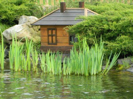 A house for swans on an artificial pond in the city park. Duck house on the lake. Wooden dwelling for waterfowl. High quality photo